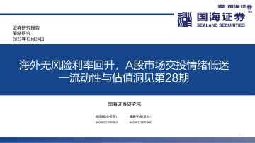 流动性与估值洞见第28期:海外无风险利率回升,A股市场交投情绪低迷-20221224-国海证券-53页
