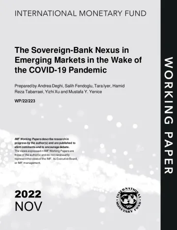 IMF-新冠肺炎疫情爆发后新兴市场的主权银行关系(英)-2022.11-54页