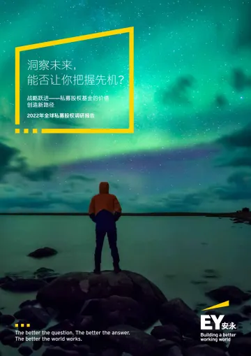 2022年全球私募基金调查-28页