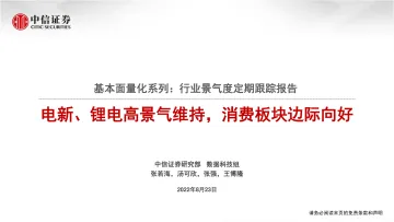基本面量化系列:行业景气度定期跟踪报告,电新、锂电高景气维持,消费板块边际向好-20220823-中信证券-23页