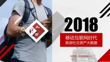 2018移动互联网时代旅游社交资产大数据报告_1