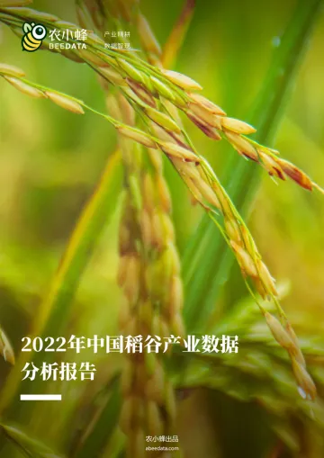 2022年中国稻谷产业数据分析报告-26页-WN9