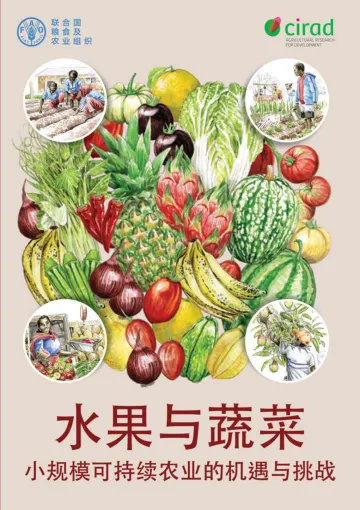 《水果与蔬菜 — 小规模可持续农业的机遇与挑战》中-196页