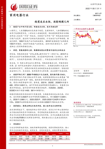 家用电器行业:视觉追求永恒,投影规模几何-20220801-国联证券-37页