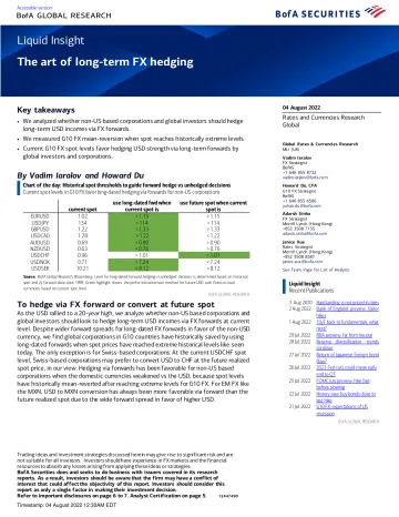Liquid Insight The art of long-term FX hedging