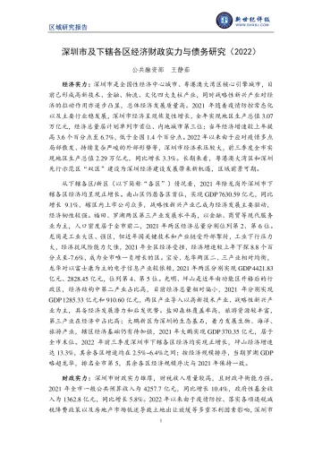 新世纪评级-深圳市及下辖各区经济财政实力与债务研究(2022)-19页