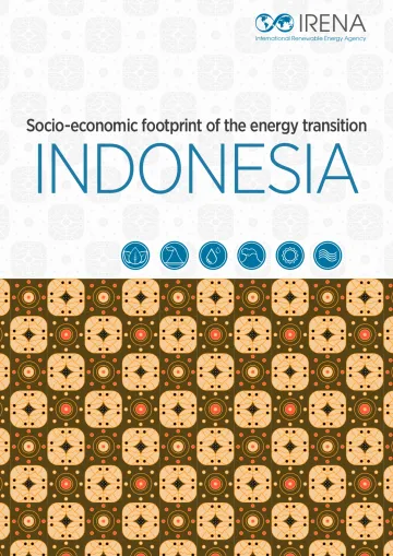 IRENA-能源转型的社会经济足迹:印度尼西亚(英)-2023.1-84页