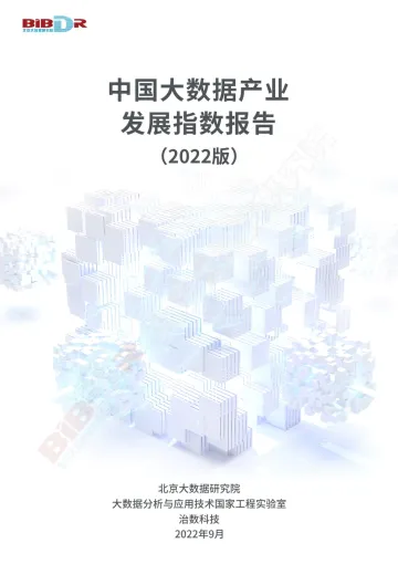 2022中国大数据产业发展指数报告-36页