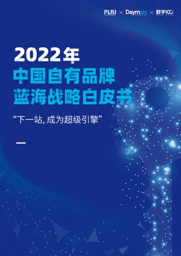2022中国自有品牌蓝海战略白皮书-46页-WN8