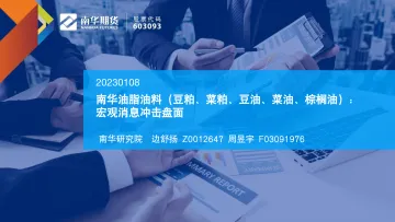 油脂油料(豆粕、菜粕、豆油、菜油、棕榈油):宏观消息冲击盘面-20230108-南华期货-16页