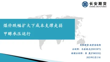 煤价跌幅扩大下成本支撑走弱,甲醇承压运行-20230213-长安期货-22页