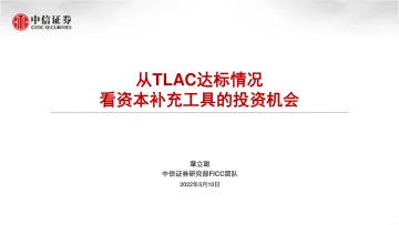从TLAC达标情况看资本补充工具的投资机会-20220510-中信证券-36页
