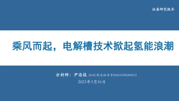 电新行业：乘风而起，电解槽技术掀起氢能浪潮-20230316-华安证券-53页