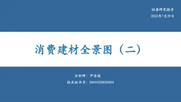 建材行业:消费建材全景图(二)-20220729-华安证券-28页