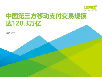 2017年中国第三方支付年度数据发布研究报告_1