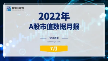 2022年7月A股市值数据月报-28页