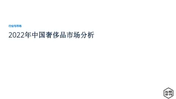 2022年中国奢侈品市场分析报告(节选)-16页-WN8