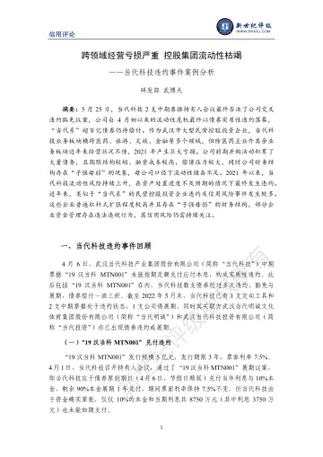 新世纪评级-跨领域经营亏损严重 控股集团流动性枯竭 ——当代科技违约事件案例分析-10页