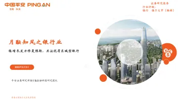 月酝知风之银行业：稳增长发力修复预期，关注优质区域型银行-20220605-平安证券-20页