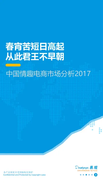 情趣市场研究V2_1