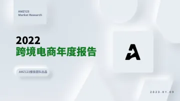 2022跨境电商年度报告-AMZ123-2023.1.9-80页