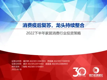 2022下半年家居消费行业投资策略:消费疫后复苏,龙头持续整合-20220630-申万宏源-51页