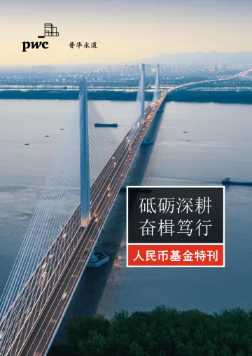 普华永道-人民币基金特刊-82页