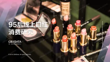 95后线上口红消费研究_1