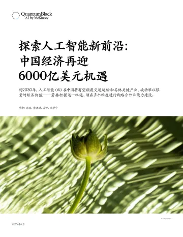 探索人工智能新前沿: 中国经济再迎 6000亿美元机遇-13页-WN8