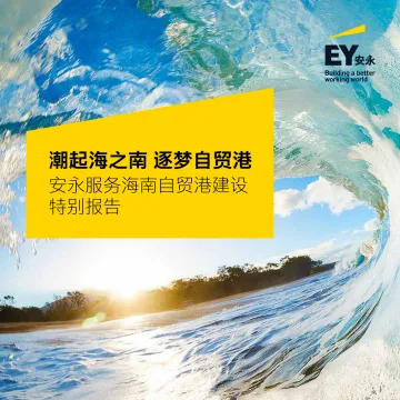 安永-安永服务海南自贸港建设特别报告2022-212页
