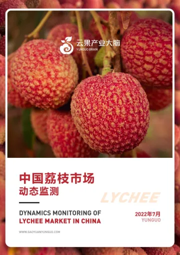 中国荔枝市场动态监测(2022年7月)-27页