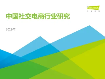 2019年中国社交电商行业研究报告_1