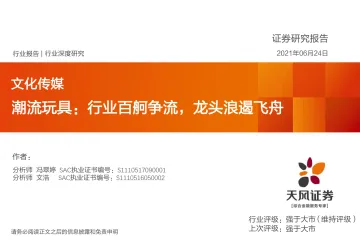 文化传媒行业潮流玩具:行业百舸争流,龙头浪遏飞舟-20210624-天风证券-36页