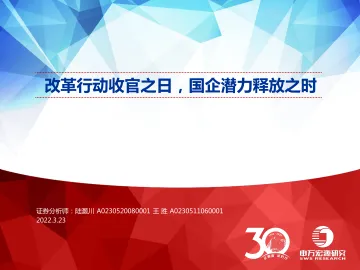 改革行动收官之日,国企潜力释放之时-20220323-申万宏源-24页