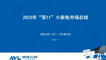 2023年双11小家电市场总结报告-5页-WN11