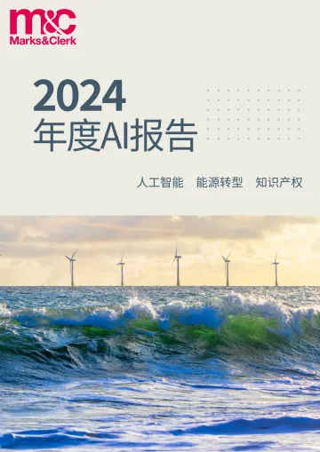 2024年度AI报告:人工智能、能源转型、知识产权-麦仕奇
