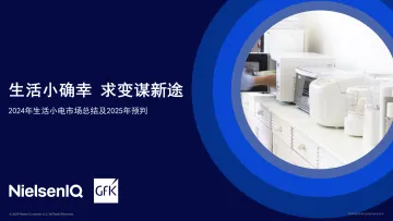 2024年生活小电市场总结及2025年预判报告-32页_1