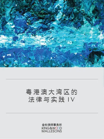 粤港澳大湾区的法律与实践IV-2023.11-108页-WN11