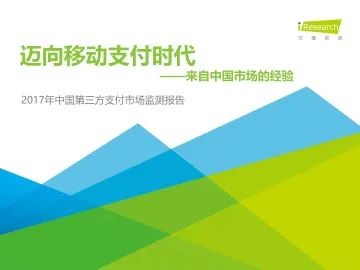2017年中国第三方支付市场监测报告