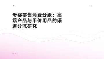 母婴零售消费分级:高端产品与平价用品的渠道分流研究-只言科技 听光Vic_1