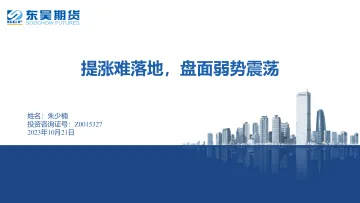 提涨难落地,盘面弱势震荡-20231021-东吴期货-16页
