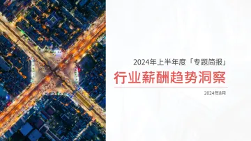 2024年上半年度行业薪酬趋势洞察报告-薪智