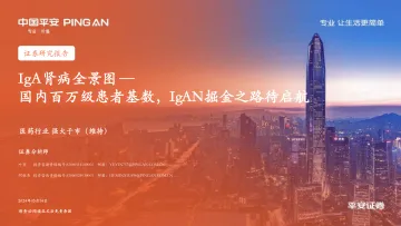 IgA肾病全景图:国内百万级患者基数,IgAN掘金之路待启航-平安证券 听光Vic.pdf