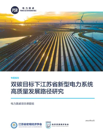 双碳目标下江苏省新型电力系统高质量发展路径研究-40页_1