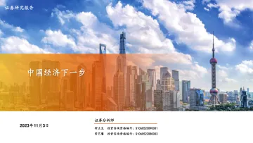 中国经济下一步-20231103-平安证券-63页