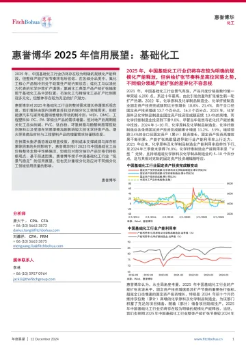 惠誉博华2025年信用展望:基础化工-7页