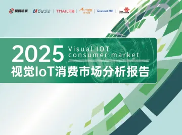 2025年视觉IoT消费市场分析报告-星图研究院 听光Vic