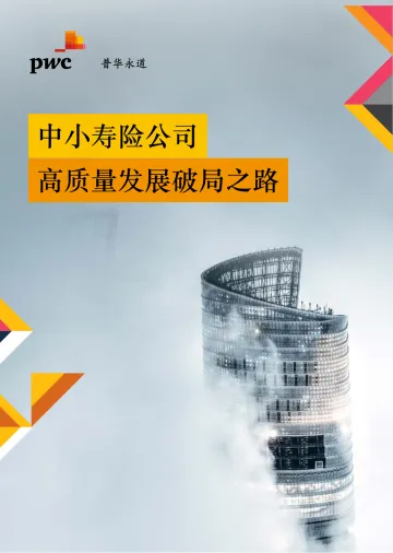【金融视点】中小寿险公司高质量发展破局之路-44页