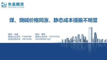 煤、烧碱价格同涨,静态成本提振不明显-20230918-东吴期货-41页