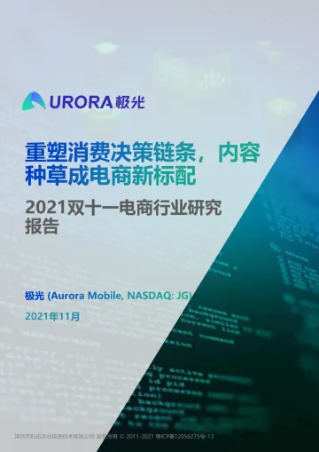 2021双十一电商行业研究报告-31页